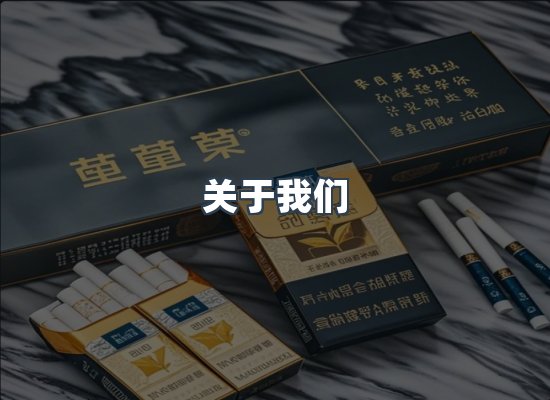 专业团队